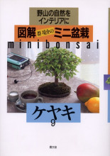 田舎の本屋さん―農業・食文化・教育・生活の書籍専門店―