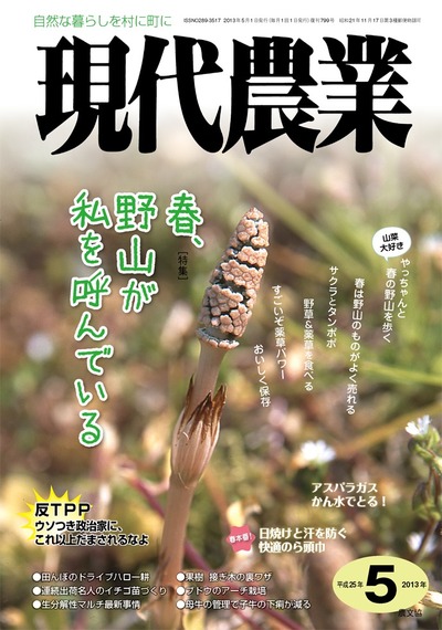 2013現代農業12冊 【公式通販】