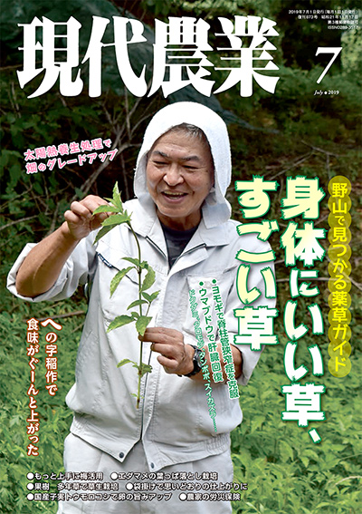 現代農業 2019年7月号 ☆在庫切れ』農文協編 - 田舎の本屋さん