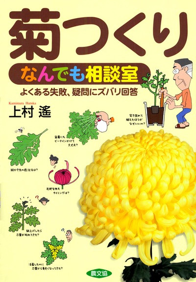 菊つくり なんでも相談室 ☆在庫切れ』上村遙著 - 田舎の本屋さん