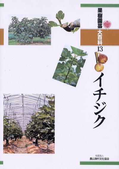 果樹園芸大百科13 イチジク ☆品切れ 重版予定なし』農文協編 - 田舎の