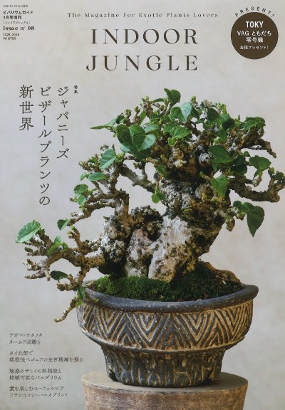 INDOOR JUNGLE Issue.08 インドアジャングル』エムピージェー編 - 田舎