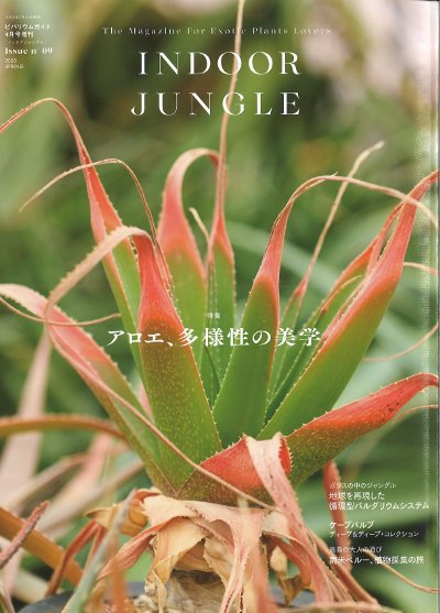 INDOOR JUNGLE 5冊セット INDOOR JUNGLE Issue.09』エムピージェー編 - 田舎の本屋さん
