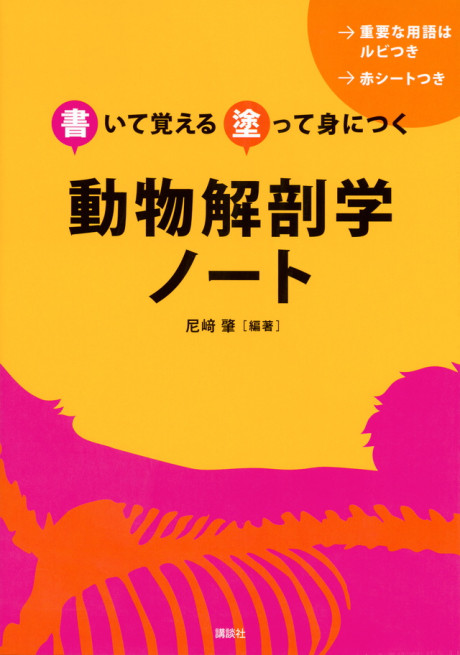 書いて覚える 塗って身につく 動物解剖学ノート(・取り寄せ)』尼﨑肇