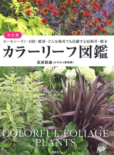 決定版 カラーリーフ図鑑』荻原範雄著 - 田舎の本屋さん 決定版 カラーリーフ図鑑』荻原範雄著 - 田舎の本屋さん