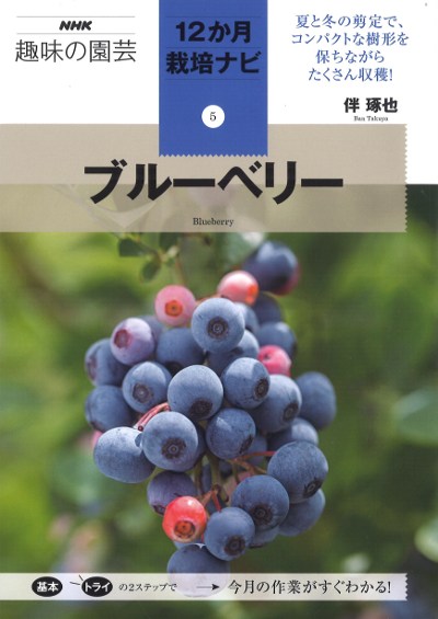 ブルーベリー　穂木　110本 Blueberry] Which branches will professional farmers use for