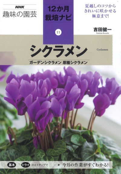 ❣️シクラメンです。２点おまとめ ❣️シクラメンです。2点おまとめ ❣️シクラメンです。2点おまとめ