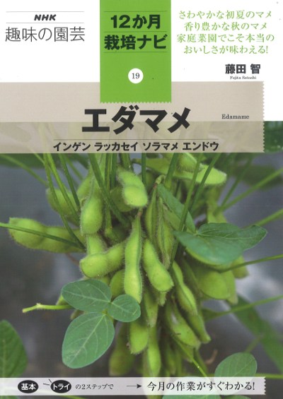 エダマメ』藤田智著 - 田舎の本屋さん