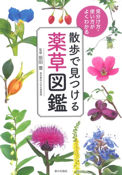 散歩で見つける薬草図鑑 見分け方・使い方がよくわかる』指田豊監修