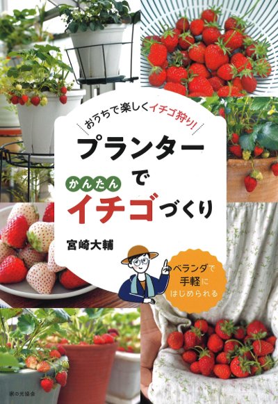 プランターでかんたんイチゴづくり』宮崎大輔著 - 田舎の本屋さん