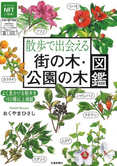 散歩で出会える 街の木・公園の木図鑑』おくやまひさし著 - 田舎の本屋さん