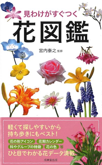 見わけがすぐつく花図鑑』宮内泰之著 - 田舎の本屋さん