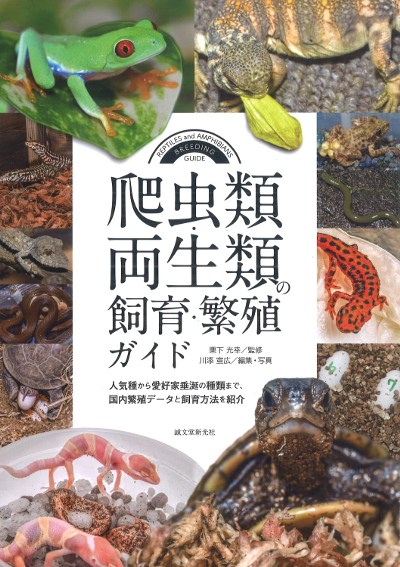 爬虫類・両生類の飼育・繁殖ガイド』川添宣広編集・写真他 - 田舎の