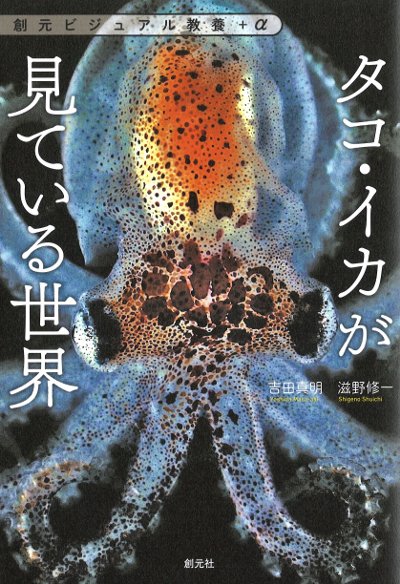 タコ・イカが見ている世界』吉田真明著他 - 田舎の本屋さん