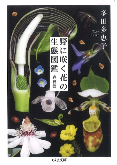 野に咲く花の生態図鑑【春夏篇】』多田多恵子著 - 田舎の本屋さん
