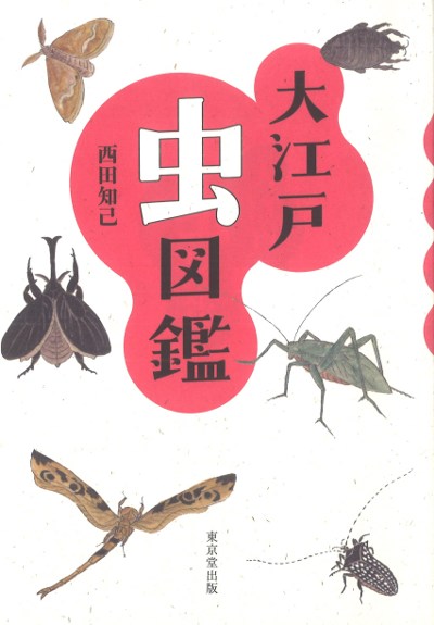 大江戸虫図鑑』西田知己著 - 田舎の本屋さん 大江戸虫図鑑』西田知己著 - 田舎の本屋さん