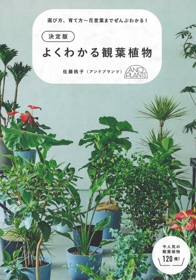 観葉植物等　まとめて譲渡 決定版 よくわかる観葉植物』佐藤桃子著 - 田舎の本屋さん