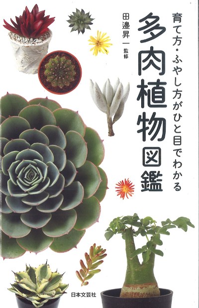 多肉植物。 專用図 多肉植物。 專用図
