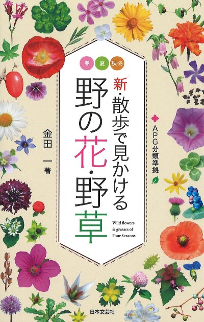 東江写生帳♦♦♦♦上　✨生命ある野の花✨ 新・散歩で見かける野の花・野草』金田一著 - 田舎の本屋さん