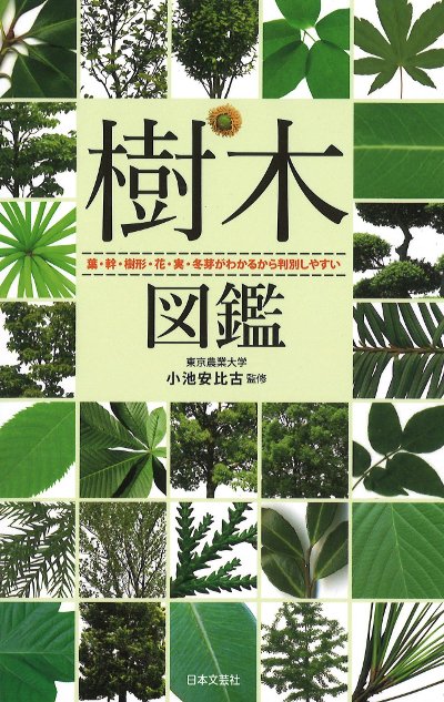 樹木図鑑』小池安比古監修 - 田舎の本屋さん