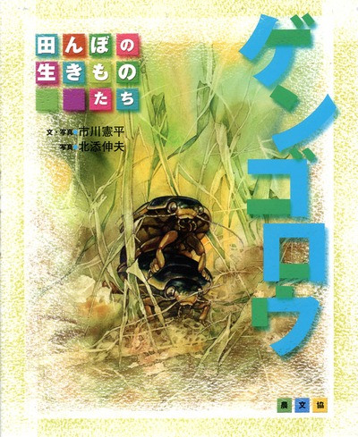 田んぼの生きものたち ゲンゴロウ』市川憲平著・写真他 - 田舎の本屋さん