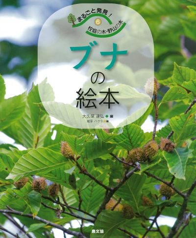 大久保6本 大久保6本 【公式通販】