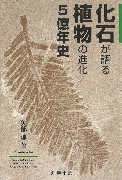 化石が語る植物の進化5億年史』矢部淳著 - 田舎の本屋さん