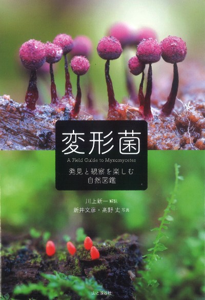 変形菌』川上新一著 - 田舎の本屋さん