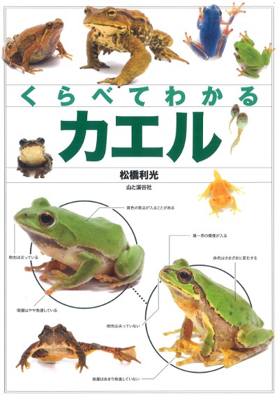 くらべてわかるカエル』松橋利光著 - 田舎の本屋さん