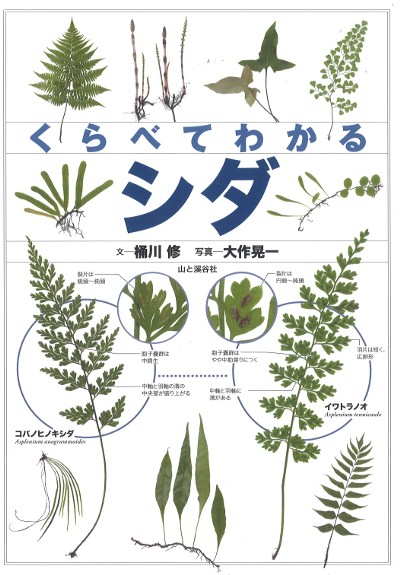 くらべてわかるシダ』桶川修文他 - 田舎の本屋さん