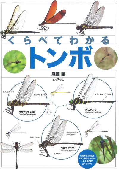 くらべてわかるトンボ』尾園暁著 - 田舎の本屋さん