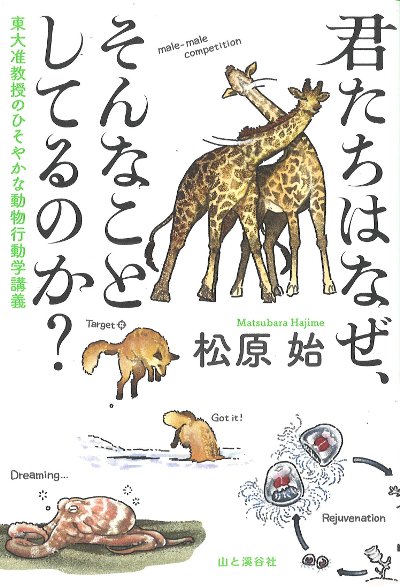 君たちはなぜ、そんなことしてるのか?』松原始著 - 田舎の本屋さん