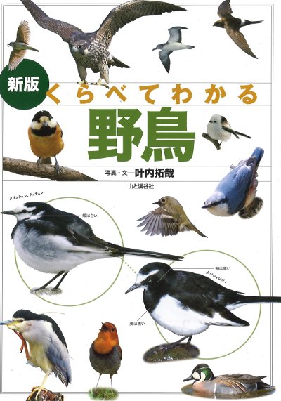 くらべてわかる野鳥 新版』叶内拓哉著 - 田舎の本屋さん