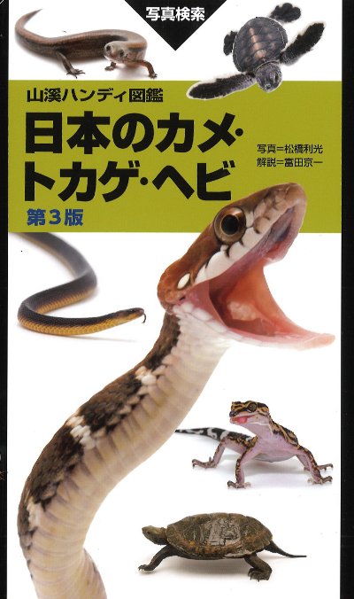 日本のカメ・トカゲ・ヘビ 第3版』松橋利光写真他 - 田舎の本屋さん