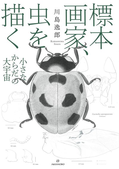 標本画家、虫を描く』川島逸郎著 - 田舎の本屋さん