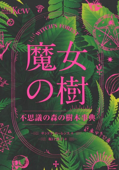 魔女の樹』サンドラ・ローレンス著他 - 田舎の本屋さん