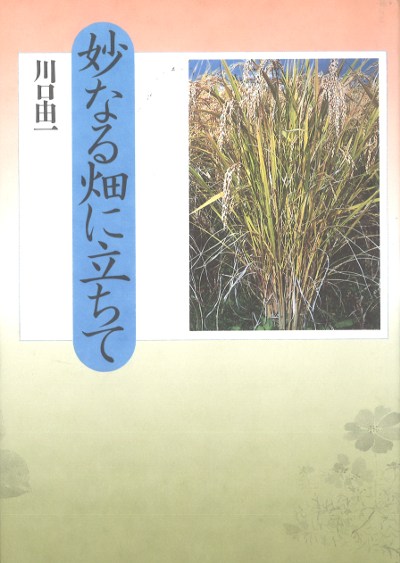 妙なる畑に立ちて』川口由一著 - 田舎の本屋さん