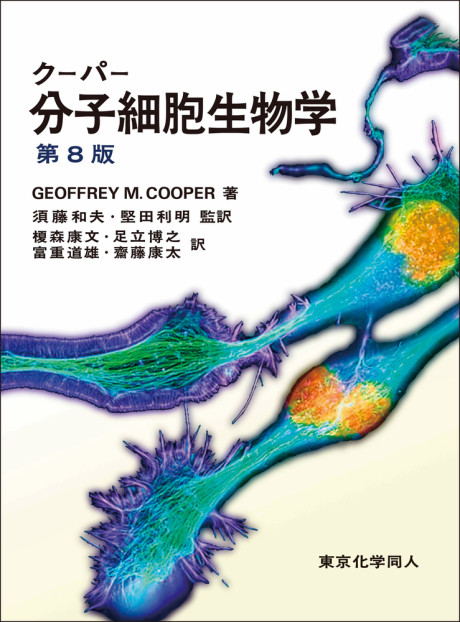 分子細胞生物学 上 第３版/東京化学同人/ハ-ヴィ・ロディッシュ（大型本） クーパー分子細胞生物学 第8版 (・取り寄せ)』G.M.クーパー他著