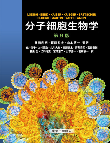 分子細胞生物学 第9版 (・取り寄せ)』H.ロディッシュ他著他 - 田舎の