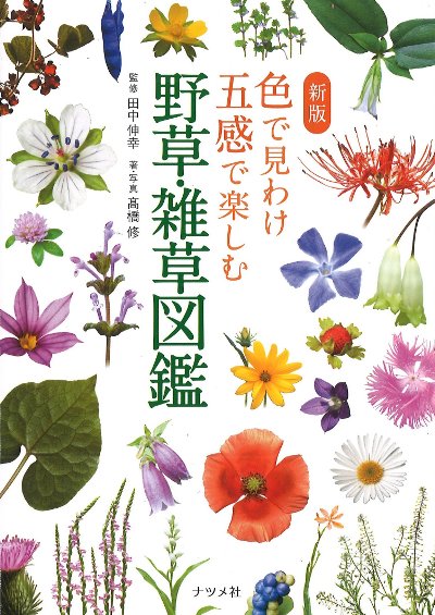 花図鑑 野草 野草の花図鑑 夏: 最新花色検索システム版 (SCHOLAR FIELD BOOKS