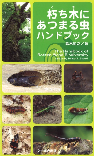 朽ち木にあつまる虫ハンドブック』鈴木知之著 - 田舎の本屋さん