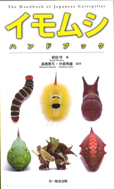 イモムシハンドブック』安田守著他 - 田舎の本屋さん