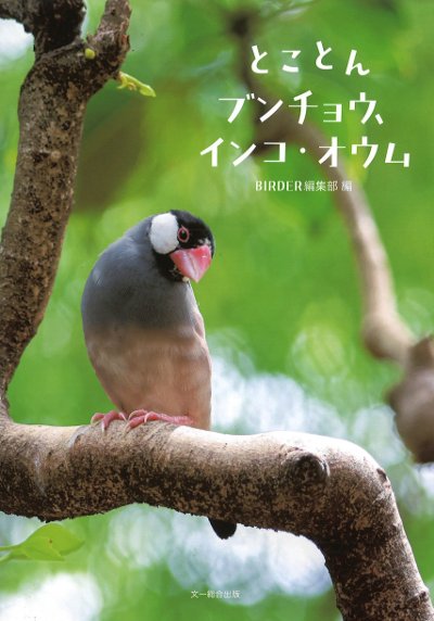 とことんブンチョウ、インコ・オウム』BIRDER編集部編 - 田舎の本屋さん