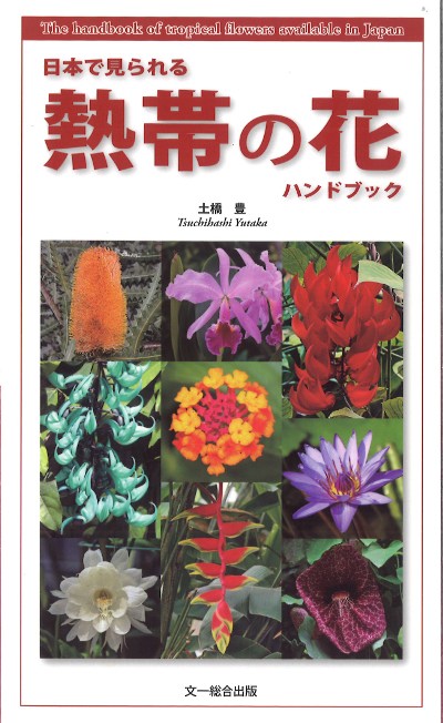 最新 花き園芸ハンドブック 鶴島久男著 花き園芸ハンドブック 最新 | 新編花卉園芸ハンドブック 最新花き園芸