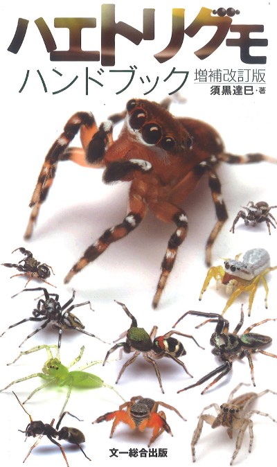 かがくのとも クモの絵本セット クモをみつけよう ハエトリグモ