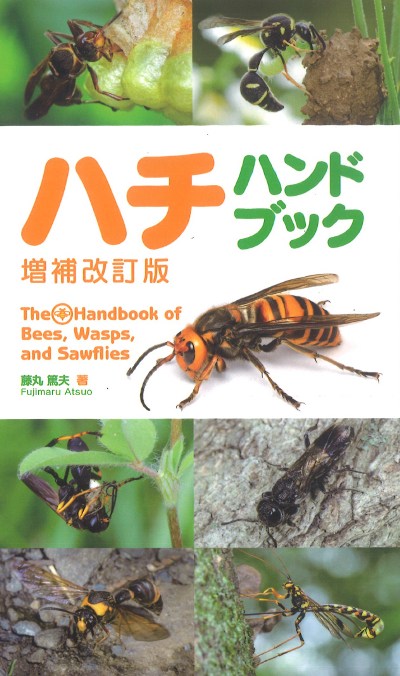 ハチハンドブック 増補改訂版』藤丸篤夫著 - 田舎の本屋さん
