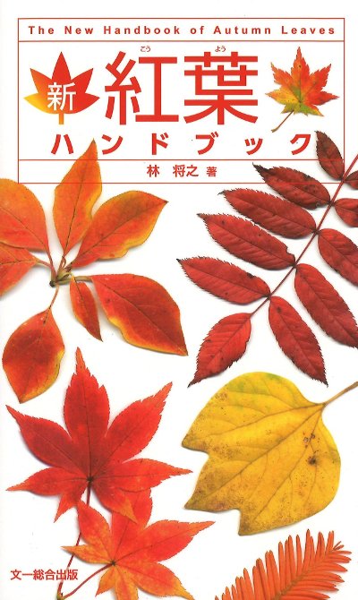 すだれもみじ 庭木