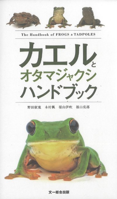 カエルとオタマジャクシハンドブック』野田叡寛著他 - 田舎の本屋さん