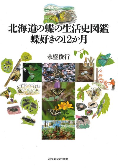 北海道の蝶の生活史図鑑 蝶好きの12か月』永盛俊行著 - 田舎の本屋さん