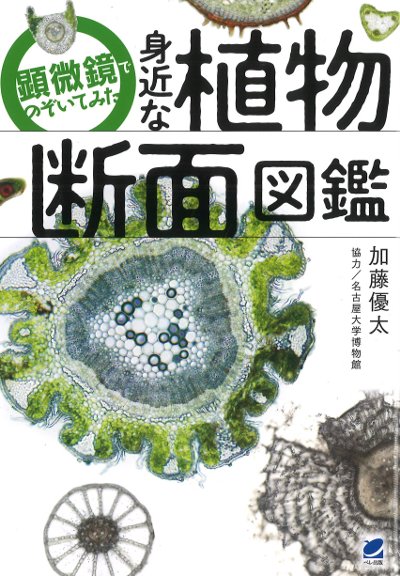 顕微鏡でのぞいてみた 身近な植物断面図鑑』加藤優太著 - 田舎の本屋さん